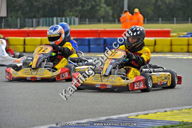 DSC_ (1306).jpg